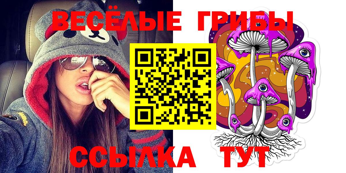 Псилоцибиновые грибы GOLDEN TEACHER Сунжа