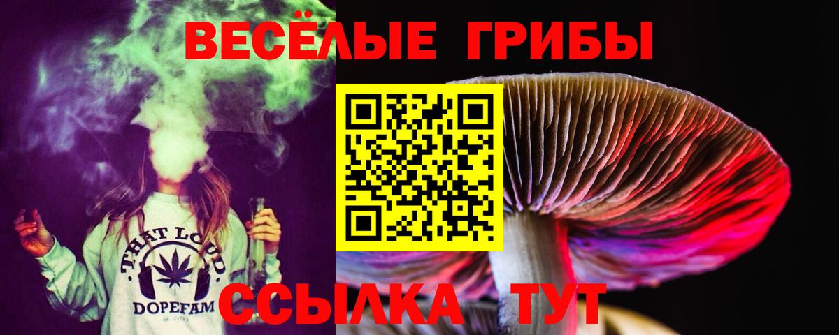 Галлюциногенные грибы Psilocybe  Вход с VPN  Сунжа 
